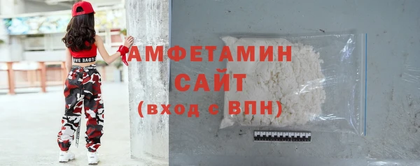 шишки Бородино